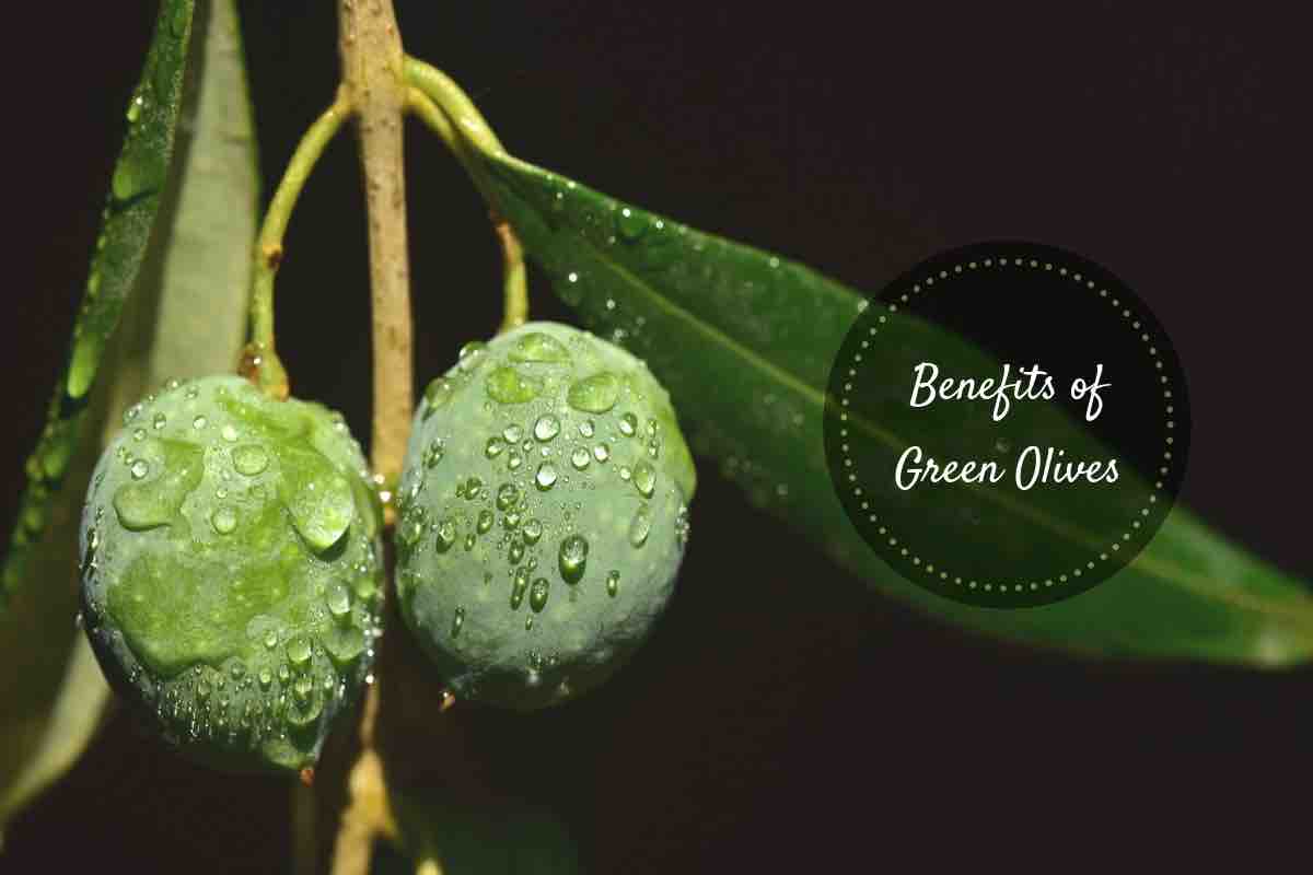 Health Benefits Of Green Olives Much More Than A Pizza Topping