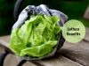lettuce benefits