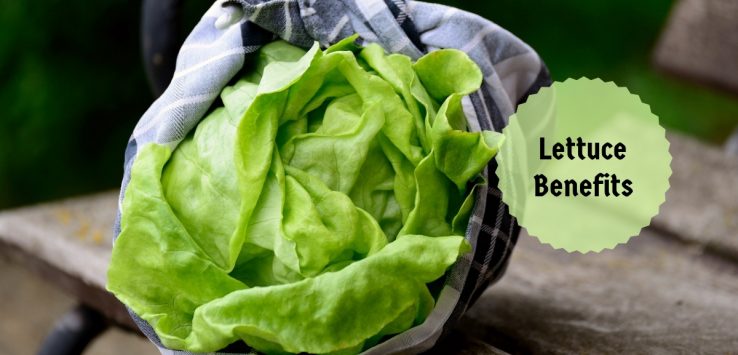 lettuce benefits