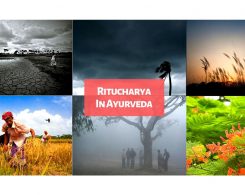ritucharya in ayurveda _ Ayurvedum