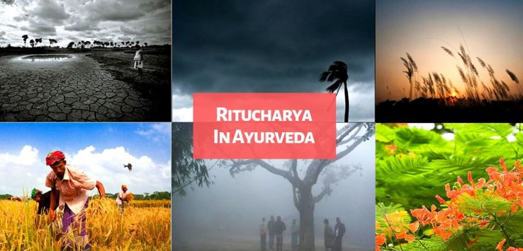 ritucharya in ayurveda _ Ayurvedum