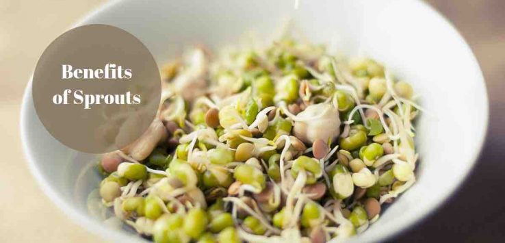 sprouts health benefits