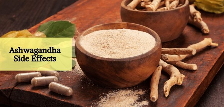 Ashwagandha Side Effects _ Ayurvedum (1)