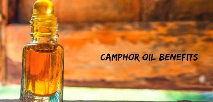 Camphor oil _ Ayurvedum