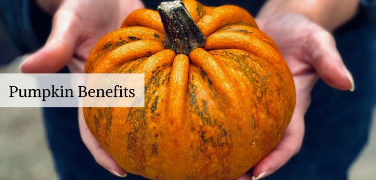 Pumpkin benefits _ Ayurvedum