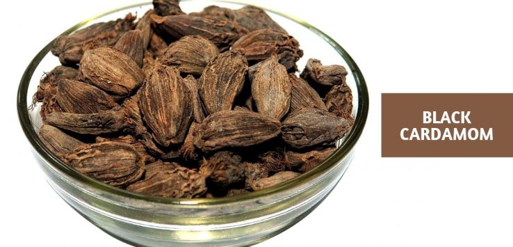 black cardamom_ Ayurvedum