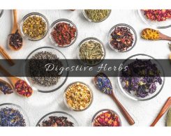 herbs for digestion _ Ayurvedum