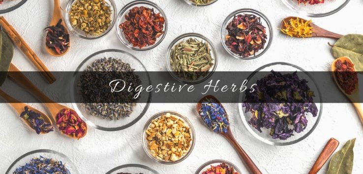 herbs for digestion _ Ayurvedum
