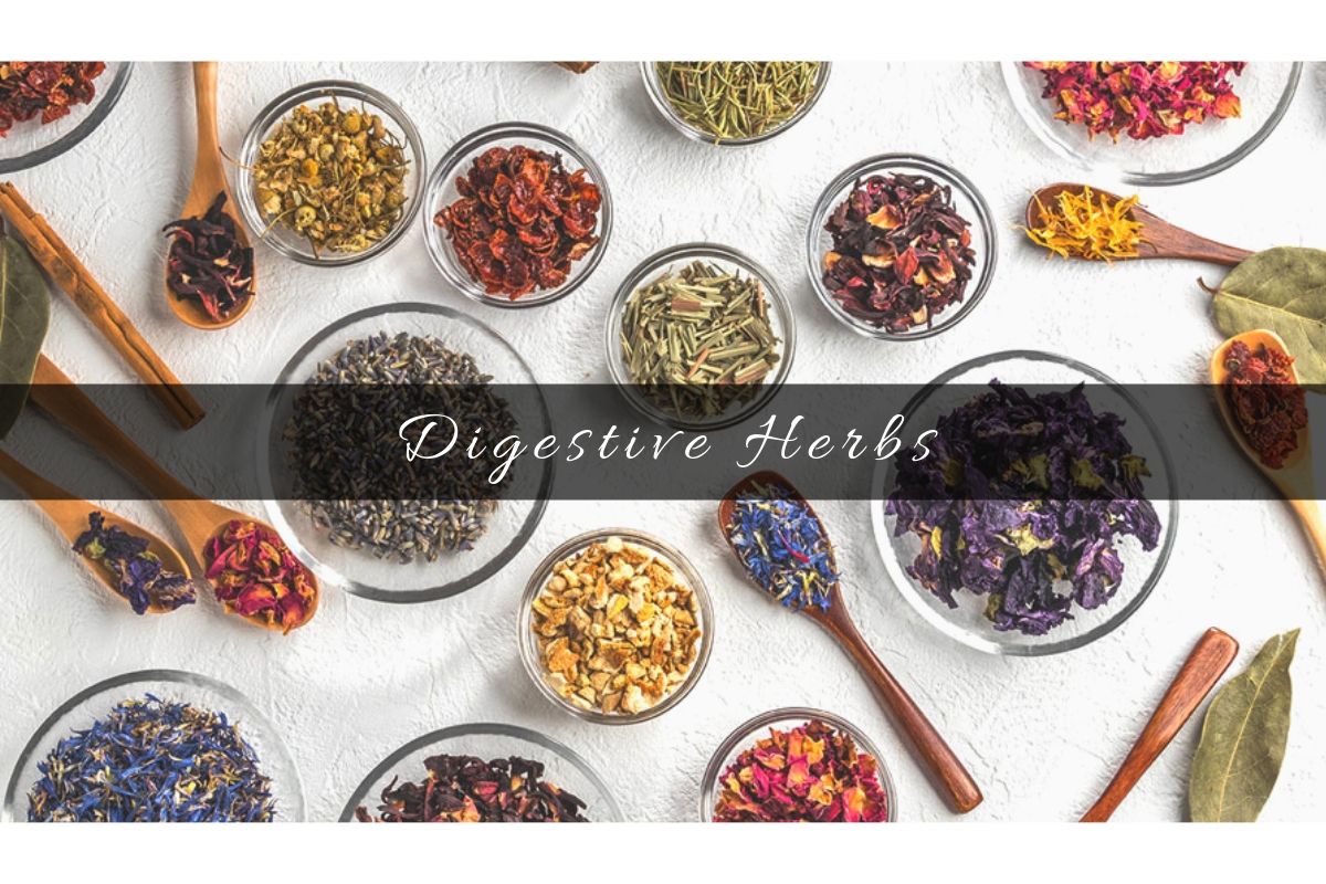 What Are The Best Herbs For Digestion Related Problems?
