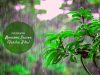 monsoon season ( varsha ritu ) _ Ayurvedum (1)