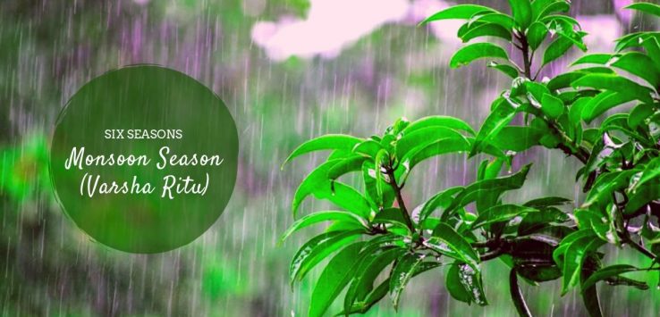 monsoon season ( varsha ritu ) _ Ayurvedum (1)
