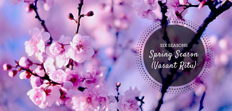 spring season ( vasant ritu ) _ Ayurvedum