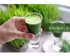 wheatgrass juice _ Ayurvedum