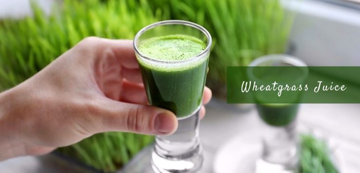 wheatgrass juice _ Ayurvedum