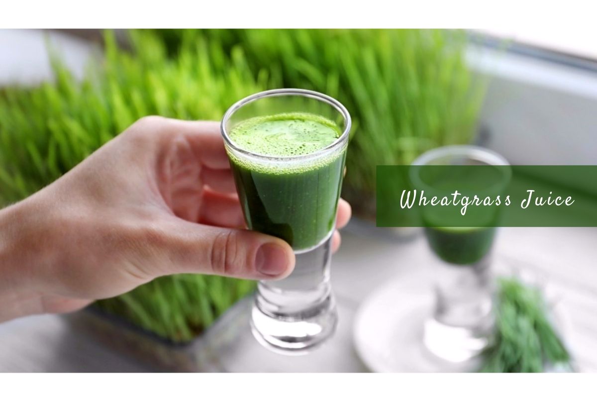 Wheatgrass Juice Benefits: A Wholesome & Healthful Green Potion